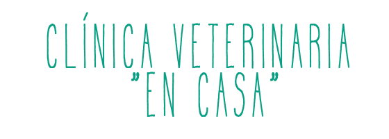fotos we cv
